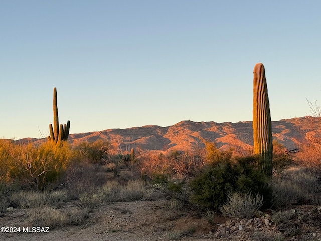 15325 E Tumbling L Ranch Pl Unit 120, Vail AZ, 85641 land for sale