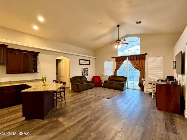 464 N 1st Ave, Thatcher, AZ 85552 - living room featuring ceiling fan, dark hardwood / wood-style flooring, and vaulted ceiling