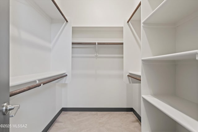 view of walk in closet