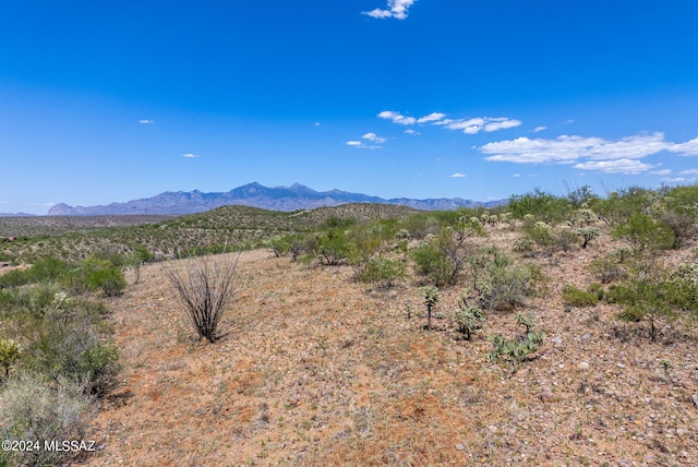 50 Calle Dinamarca Unit 20, Rio Rico AZ, 85648 land for sale