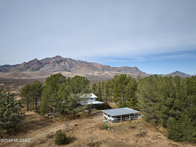 285 W Red Dog Rd, Portal, AZ 85632 - property view of mountains