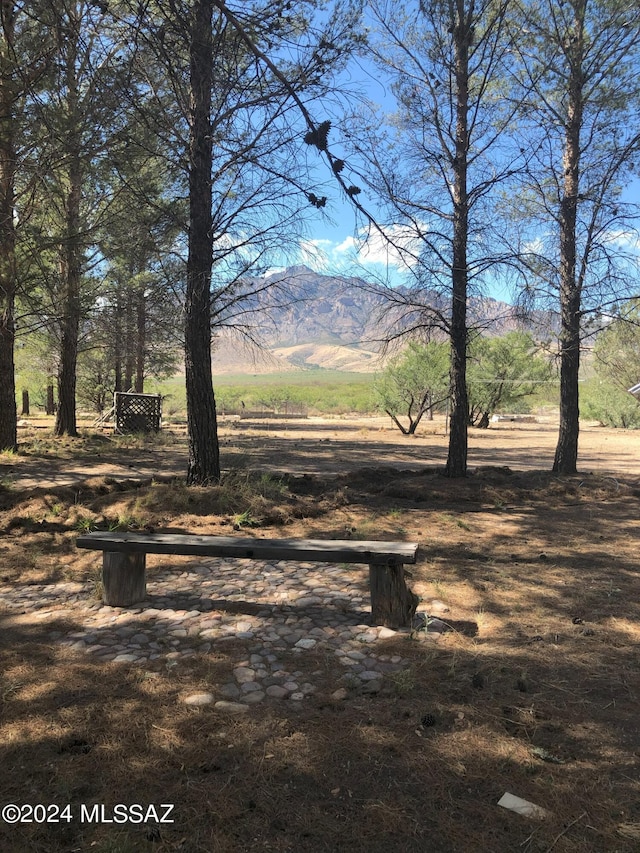 view of mountain feature