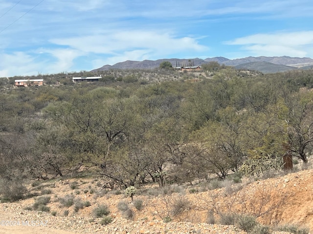 00 W Calle Ocho Unit 115, Green Valley AZ, 85622 land for sale