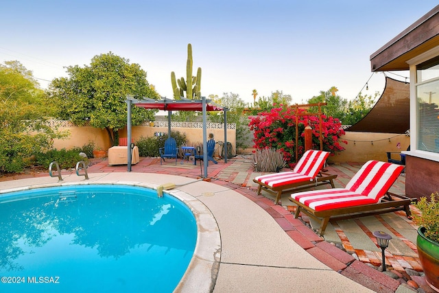 view of swimming pool featuring a patio area