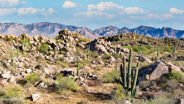 1481 W Tortolita Mountain Cir Lot 281, Oro Valley AZ, 85755 land for sale