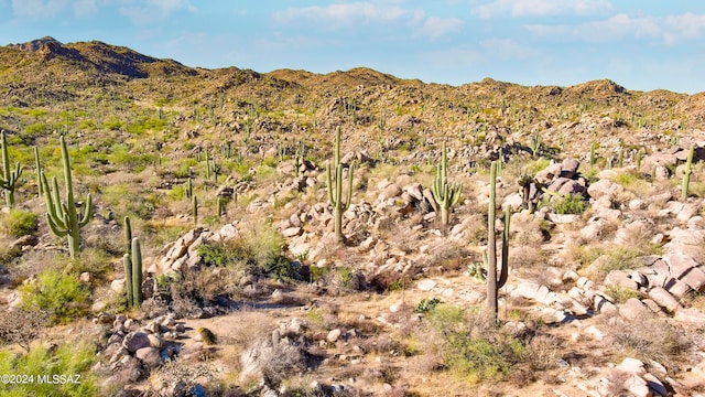 Listing photo 2 for 1459 W Tortolita Mountain Cir Lot 280, Oro Valley AZ 85755