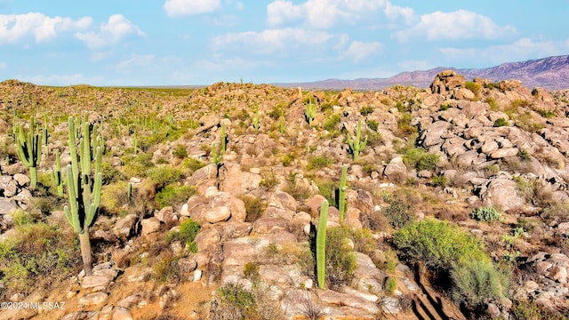 Listing photo 3 for 1459 W Tortolita Mountain Cir Lot 280, Oro Valley AZ 85755