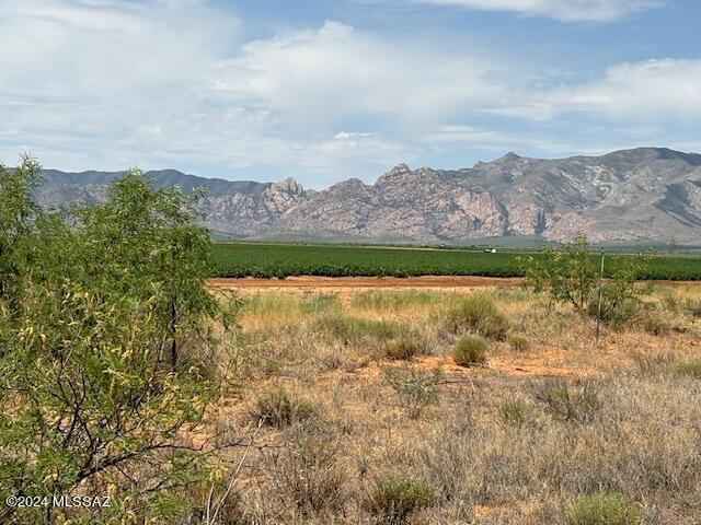 Listing photo 3 for LOTA E Horse Country Road A, Cochise AZ 85606