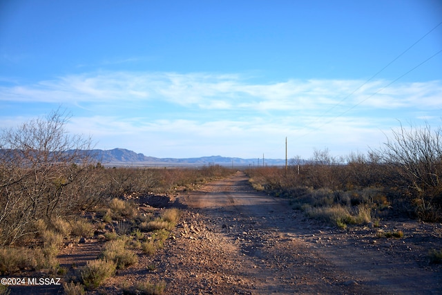 38.47ACRE S Brittany Ln Unit 11-3, Portal AZ, 85632 land for sale