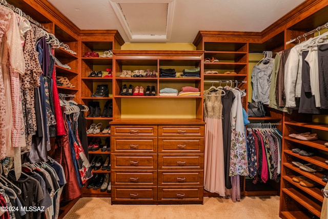 walk in closet with light carpet