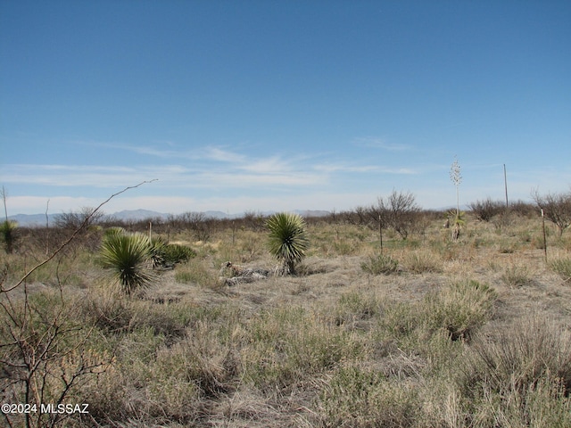 Listing photo 2 for 20AC Bumble Bee Ln Unit 0, Pearce AZ 85625