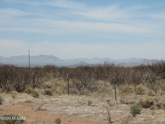 Listing photo 3 for 20AC Bumble Bee Ln Unit 0, Pearce AZ 85625