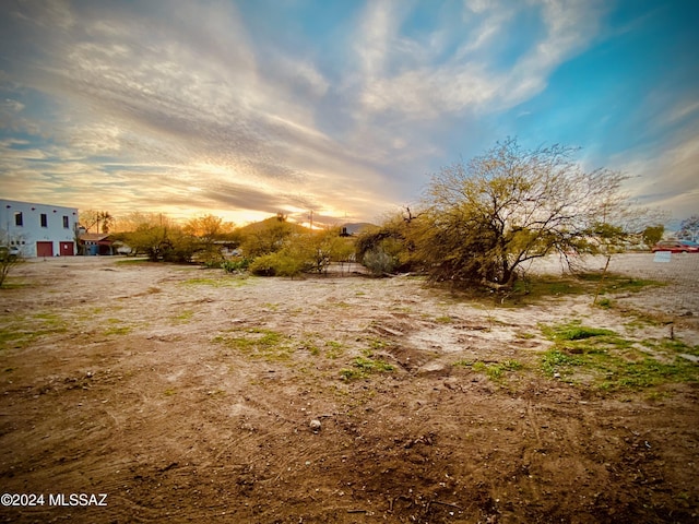 view of yard at dusk