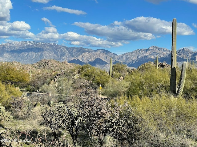 Listing photo 2 for 1149 W Tortolita Mountain Cir W Unit 178, Oro Valley AZ 85755