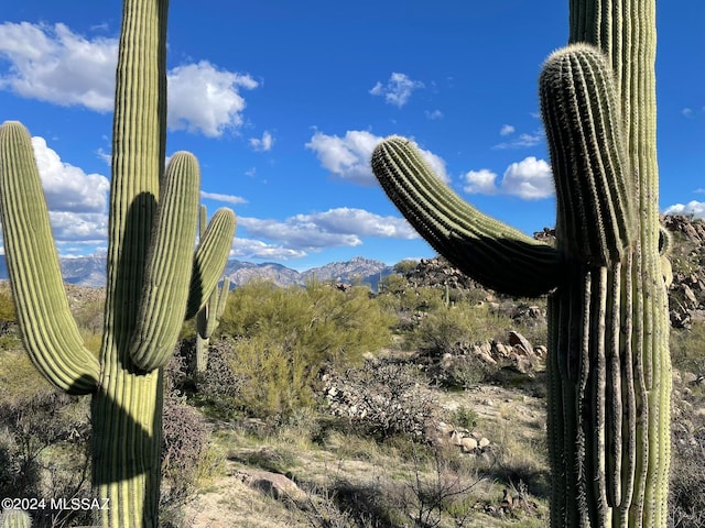 Listing photo 3 for 1149 W Tortolita Mountain Cir W Unit 178, Oro Valley AZ 85755