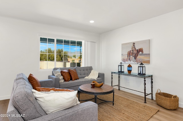 living room with light wood-type flooring