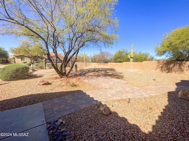 view of yard featuring a patio area and a fenced backyard