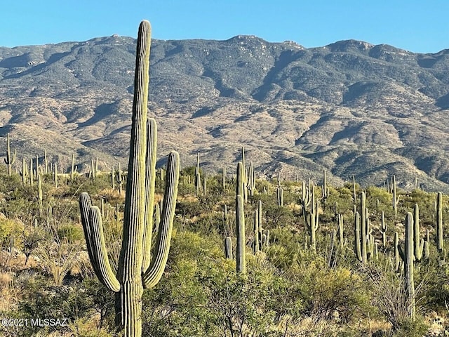 3051 N Placita De Nazca Unit 1, Tucson AZ, 85749 land for sale