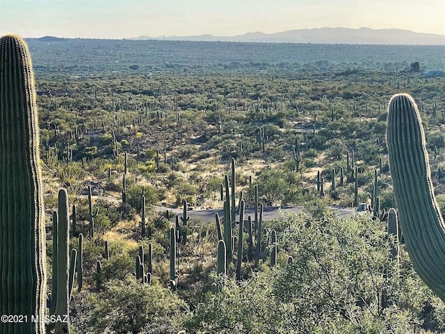 Listing photo 3 for 3051 N Placita De Nazca Unit 1, Tucson AZ 85749