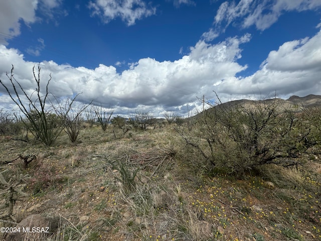 Listing photo 3 for 1735 Ruta Caravela, Rio Rico AZ 85648