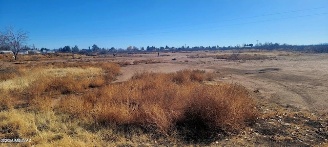 Listing photo 2 for LOT13 W Swisshelm Trl, Elfrida AZ 85610