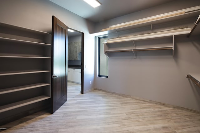 spacious closet with light wood-type flooring