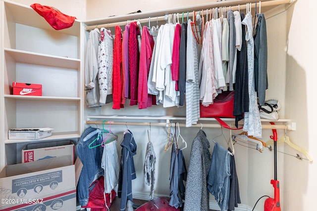 view of spacious closet