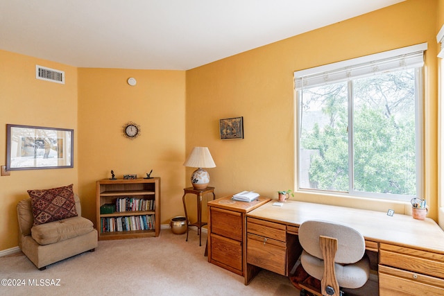 carpeted office space with a wealth of natural light