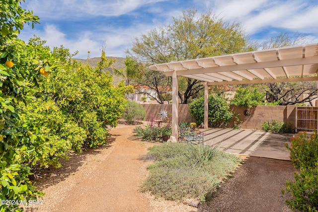 view of yard with a pergola