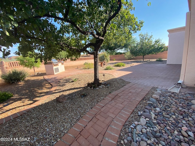 view of yard featuring a patio area