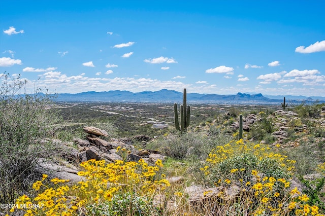 3601 W Adobe Ruins Pl W Lot 7, Marana AZ, 85658 land for sale