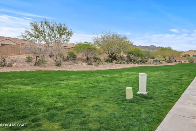 view of yard featuring a mountain view