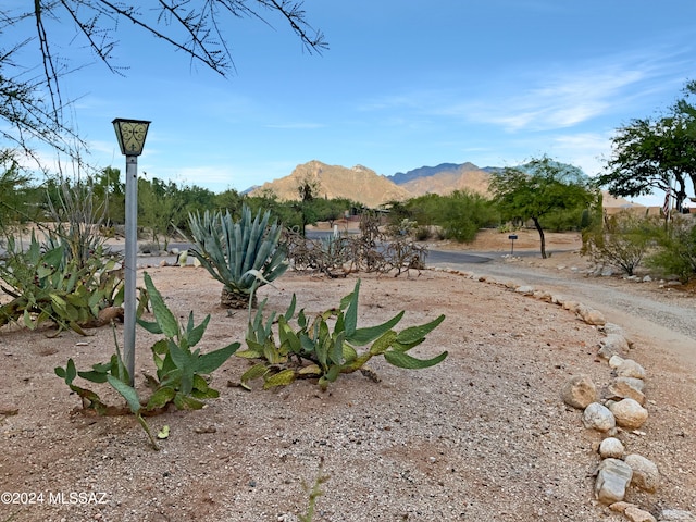 view of yard featuring a mountain view