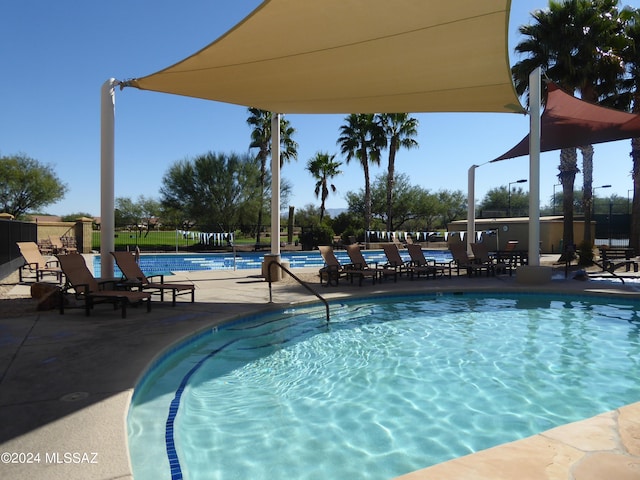 view of pool featuring a patio