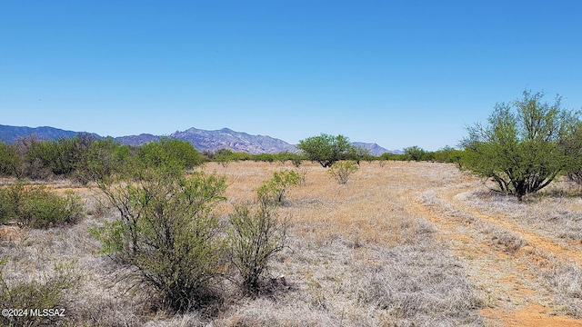 Listing photo 2 for 5.17AC Rock Rd Unit 133, Pearce AZ 85625