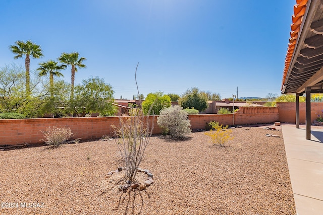 view of yard with a patio