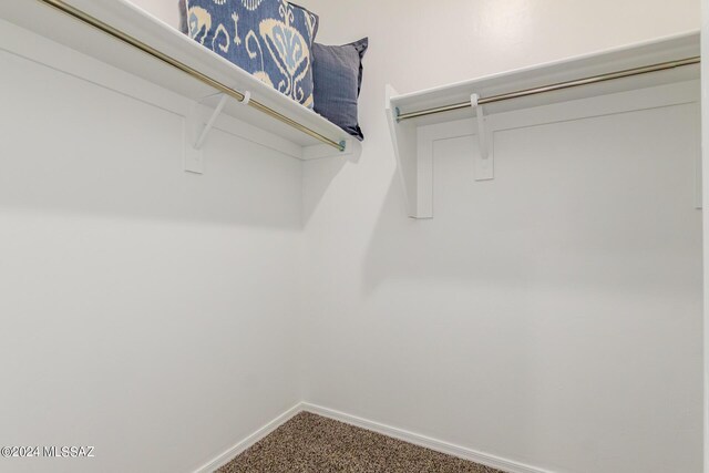 spacious closet with carpet floors