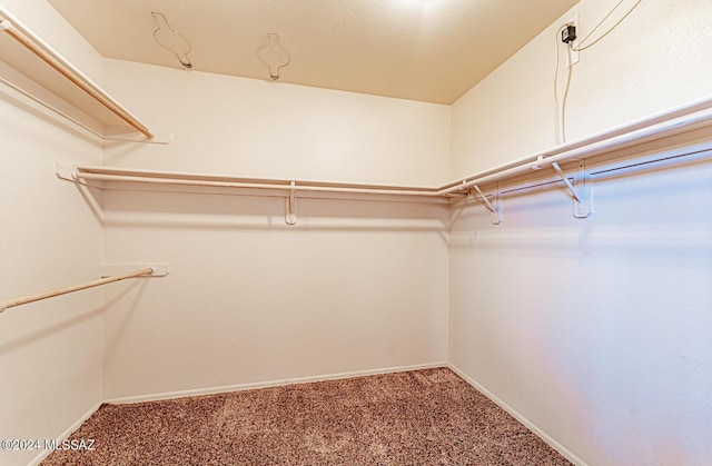 spacious closet featuring carpet floors