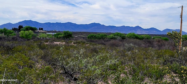 Listing photo 2 for TBD N Willcox Rd, Huachuca City AZ 85616