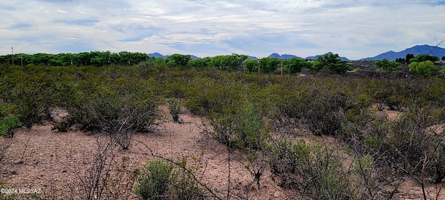 Listing photo 3 for TBD N Willcox Rd, Huachuca City AZ 85616