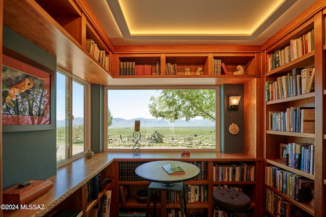 interior space featuring a mountain view and a raised ceiling