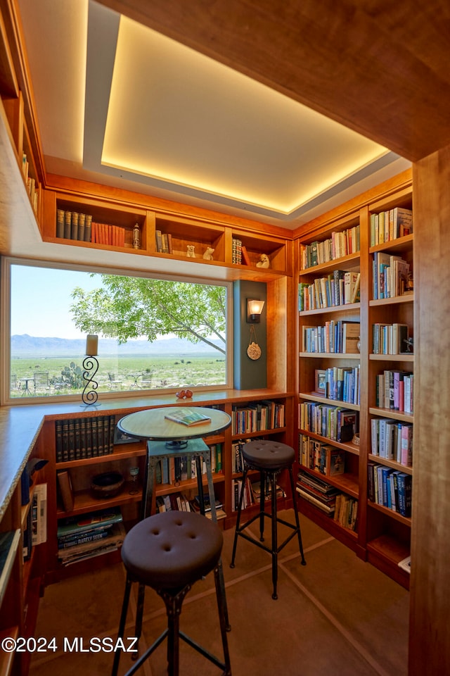 sitting room featuring a raised ceiling