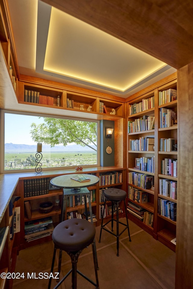 living area with bookshelves and a raised ceiling