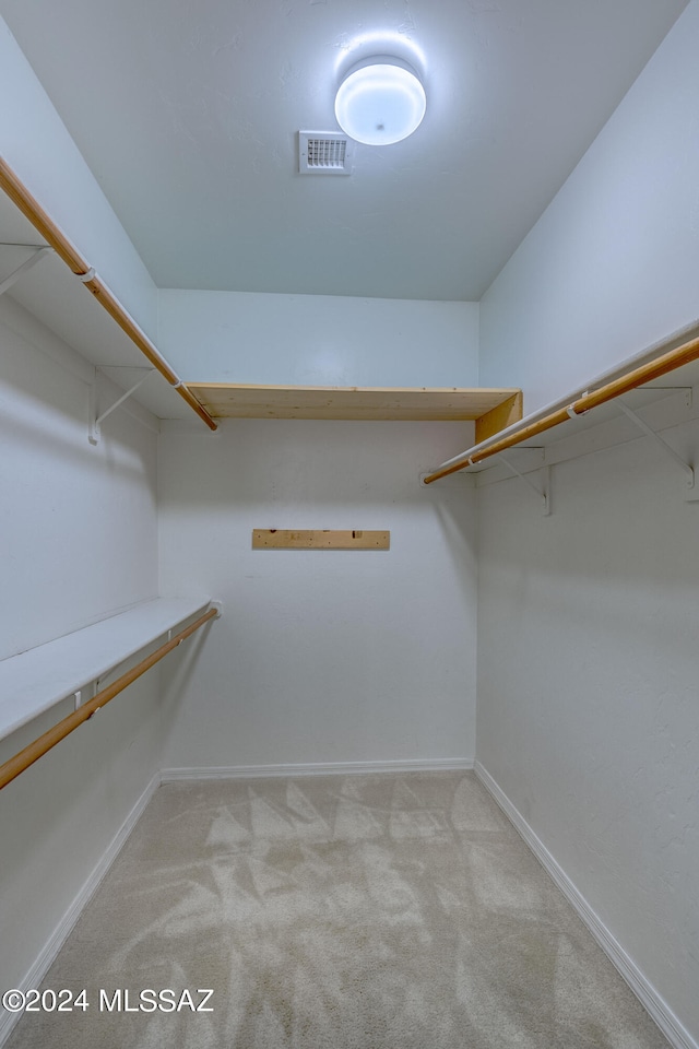 spacious closet featuring carpet