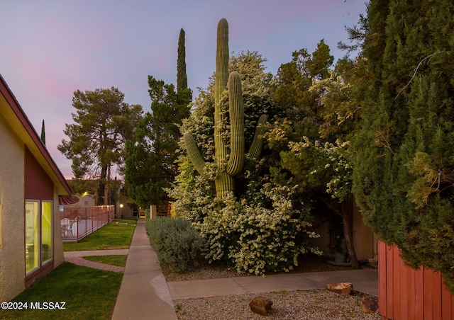 view of yard at dusk