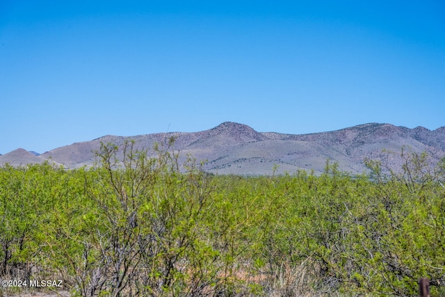 40ACRES E Carolyn Fraser Ln -, Unit Pearce AZ, 85625 land for sale