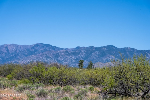 Listing photo 2 for 40ACRES E Carolyn Fraser Ln -, Unit Pearce AZ 85625