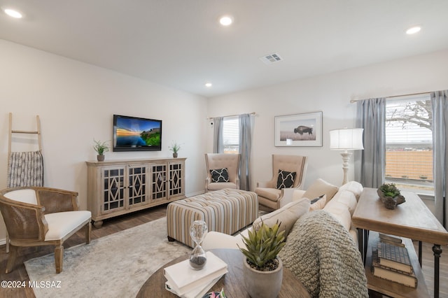 living room featuring hardwood / wood-style flooring