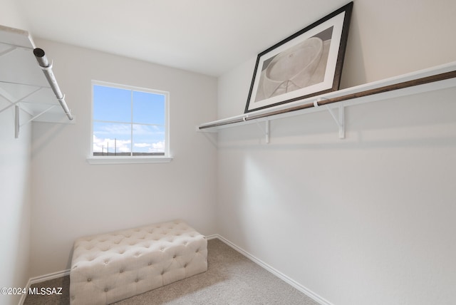 spacious closet with carpet