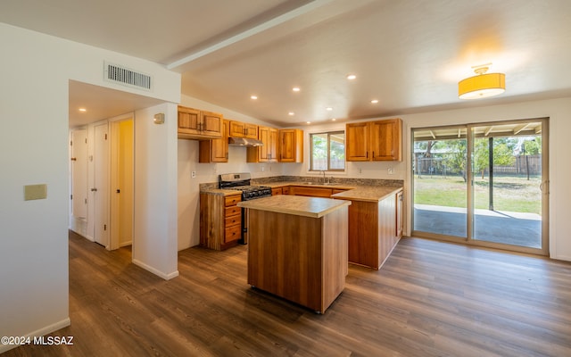 kitchen featuring a healthy amount of sunlight, sink, dark hardwood / wood-style flooring, and a center island